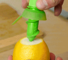 SpritzFresh™ Lemon Citrus Sprayer